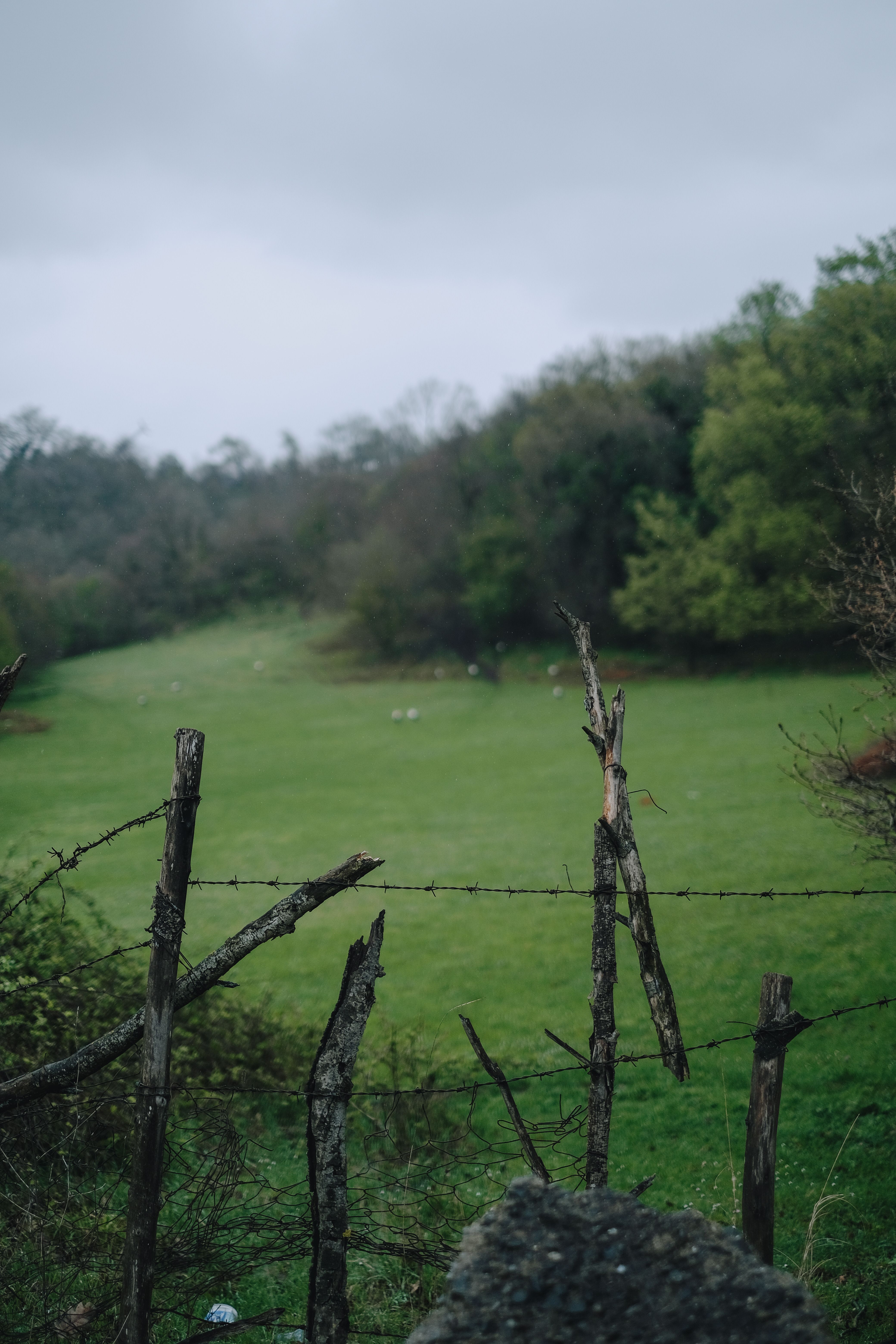 Wooden Fence with Barbed Wire on the Grass Field · Free Stock Photo
