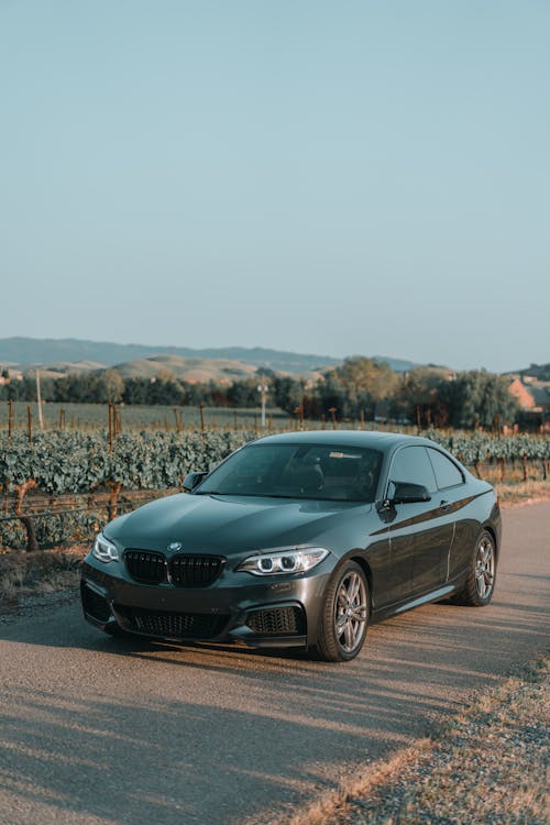 Shiny Car Near Agricultural Land