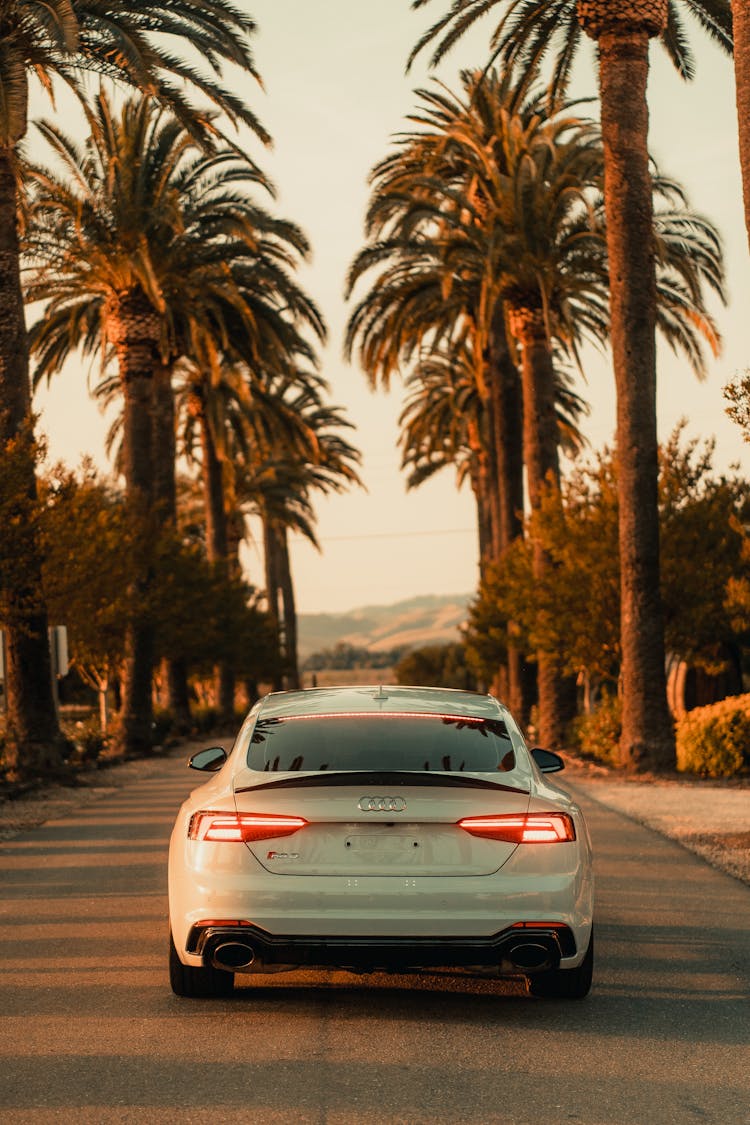 Back View Of White Car Driving Down Empty Road At Sunset