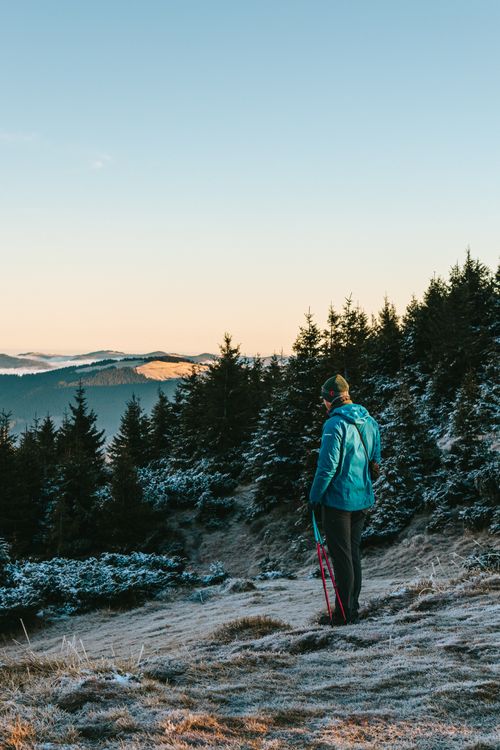 Free A person exploring snowy Romanian mountains in winter, surrounded by pine trees. Stock Photo