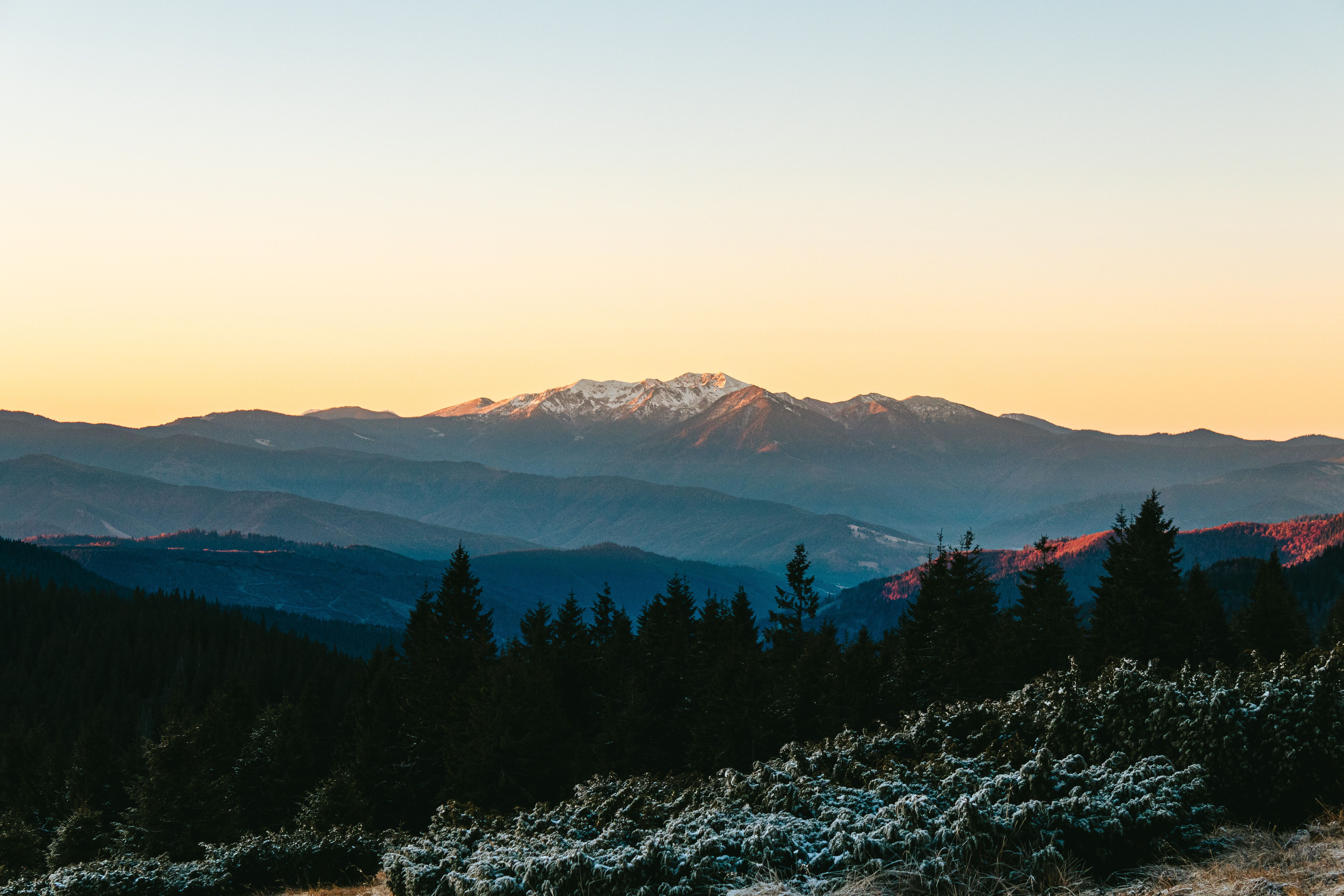 7 Day Vipassana Eqy Silent Retreat in Romania 1