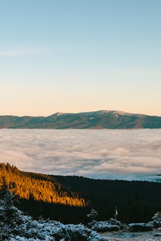 Breathtaking sunrise over the Carpathian Mountains with clouds covering the valley below, creating a serene landscape.