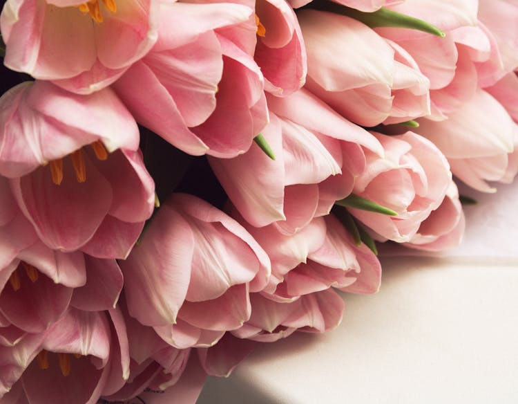 A Bouquet Of Pink Tulips