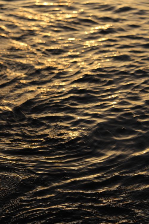Free Glistening ripples on water surface during golden hour, capturing tranquil beauty. Stock Photo