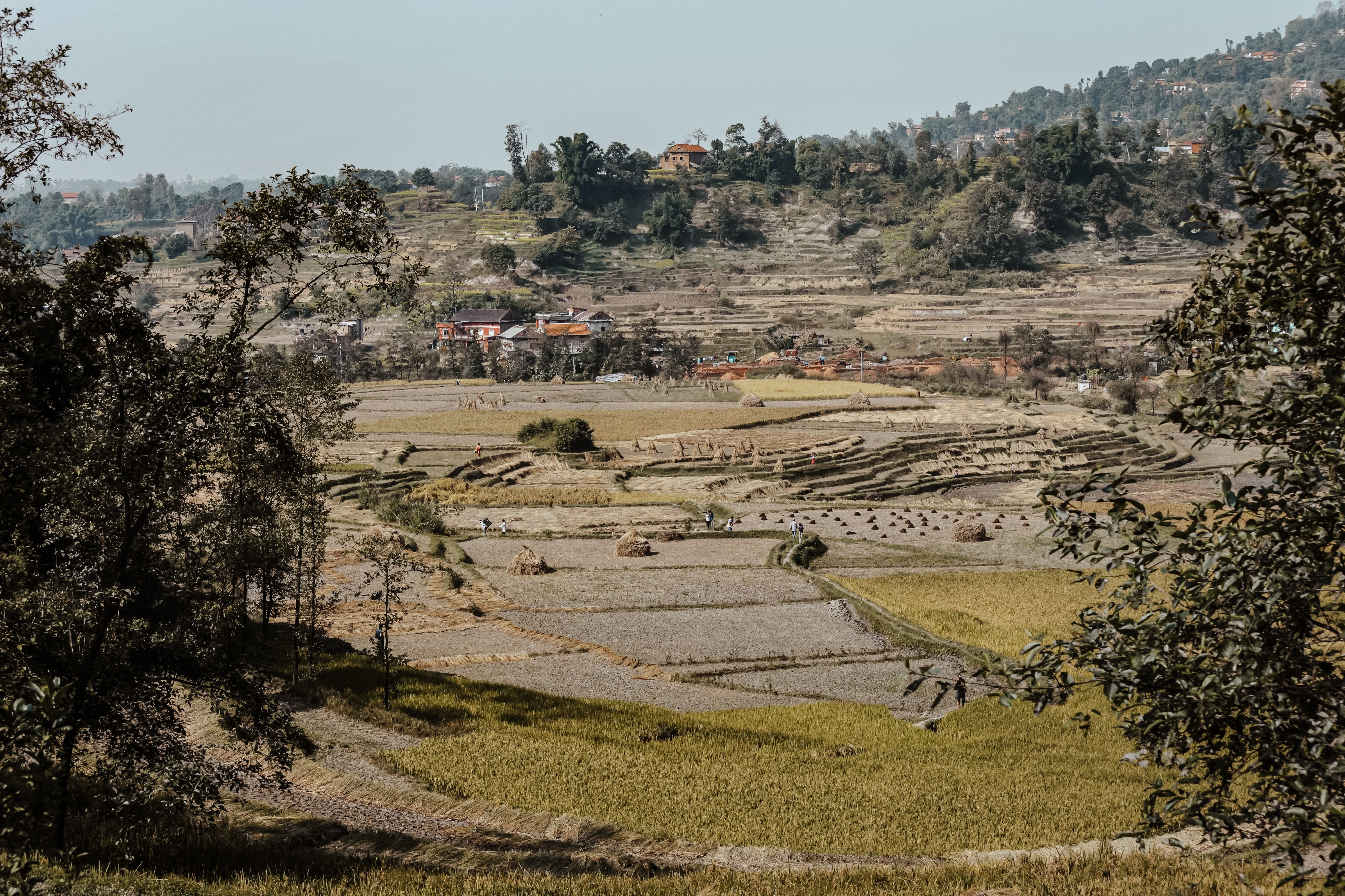 Capture the Beauty of Pattallassang: Lokasi Menawan untuk Portofolio Fotografi