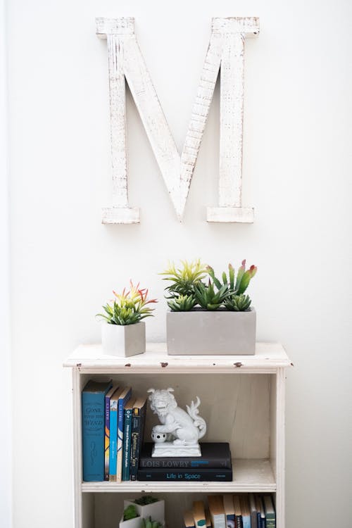 Green Plants on White Wooden Table