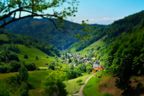 Free House Surrounded by Trees and Mountains Stock Photo