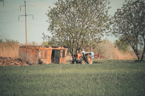 Základová fotografie zdarma na téma farma, farmář, hřiště