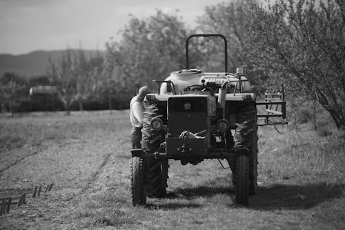 Foto profissional grátis de agricultura, área, chácara