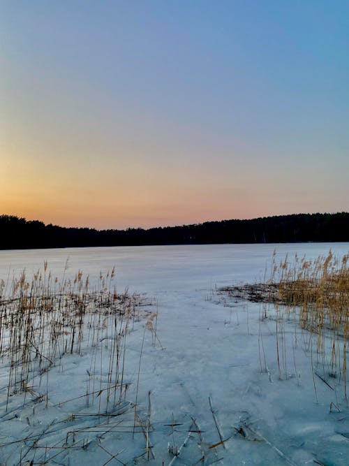 Foto profissional grátis de com frio, inverno, lago congelado