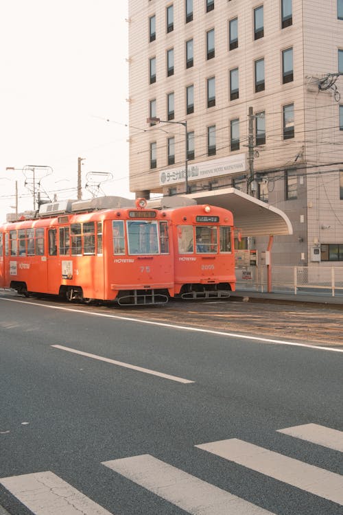 Trams parked on a Roadside 