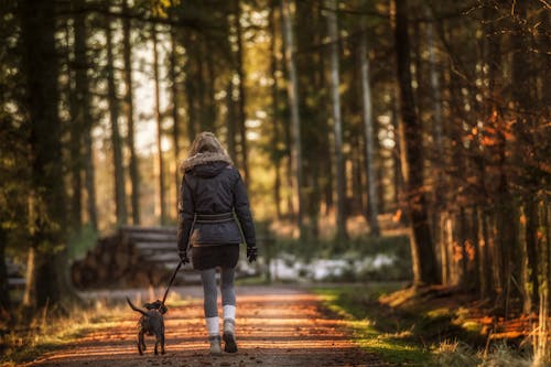Free Woman in Black Jacket Walking on Pathway With Dog Stock Photo