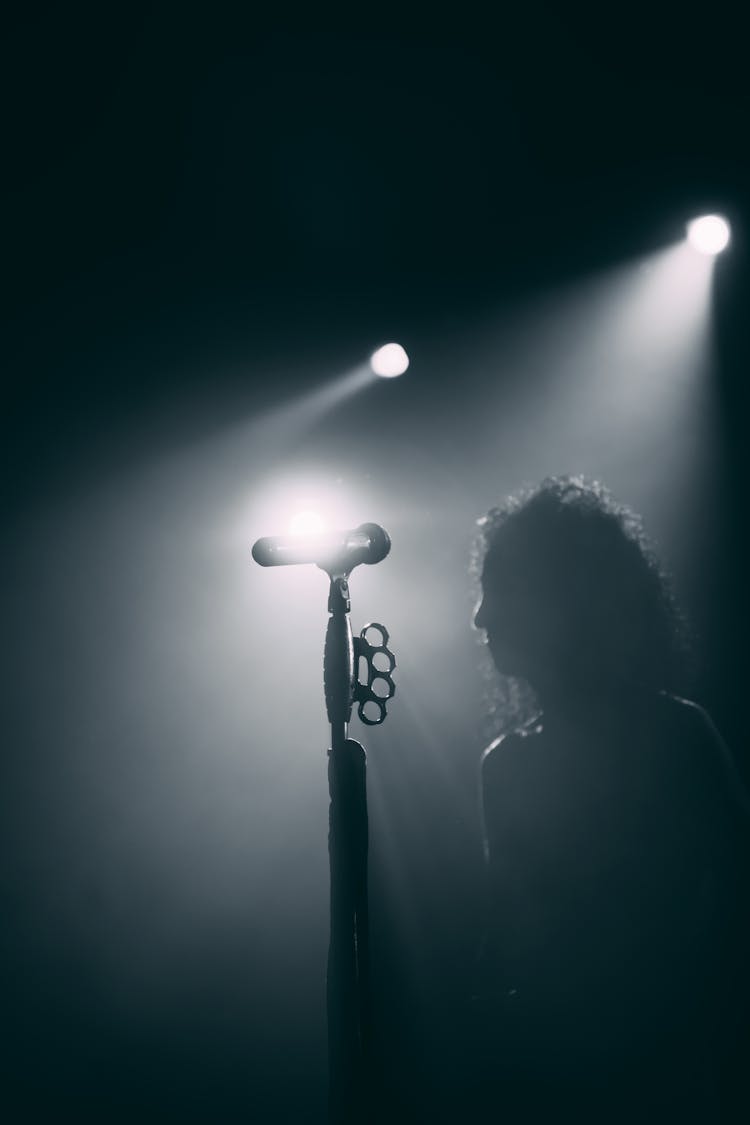 Silhouette Of A Man Standing Beside The Mic Stand