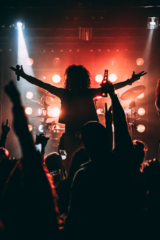 Experience the energy of a live music concert with a vibrant crowd and illuminated stage.