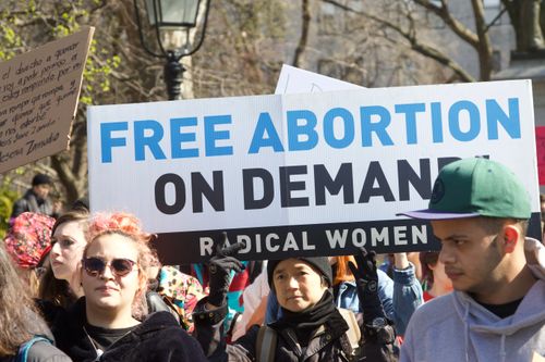 Free A diverse group of activists protesting with abortion rights signs in an outdoor rally. Stock Photo