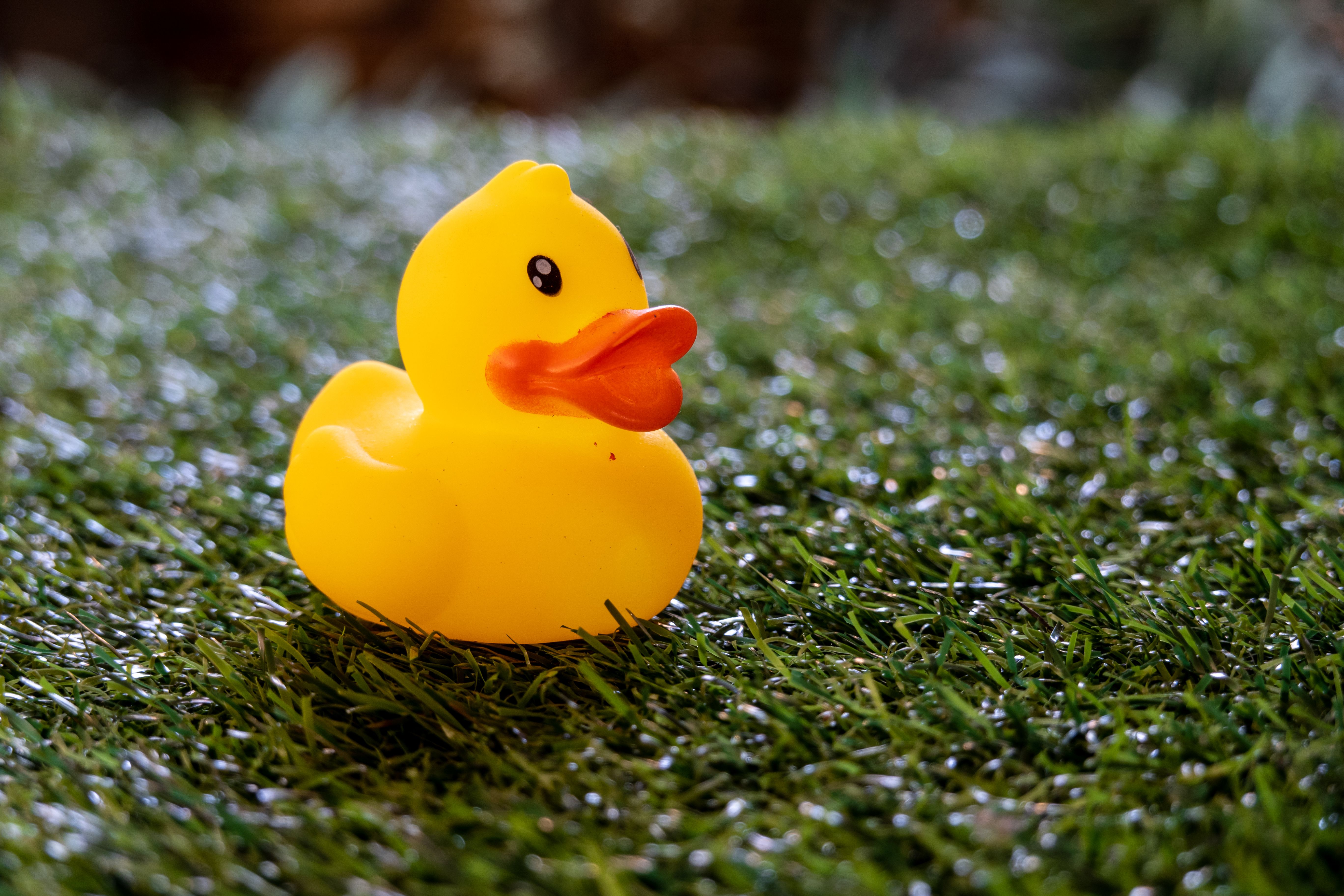 Bath Yard Photos, Download The BEST Free Bath Yard Stock Photos & HD Images