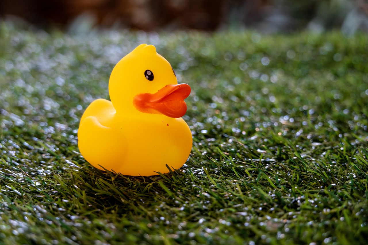 a close up view of a yellow rubber duck toy sitting on lush green gras