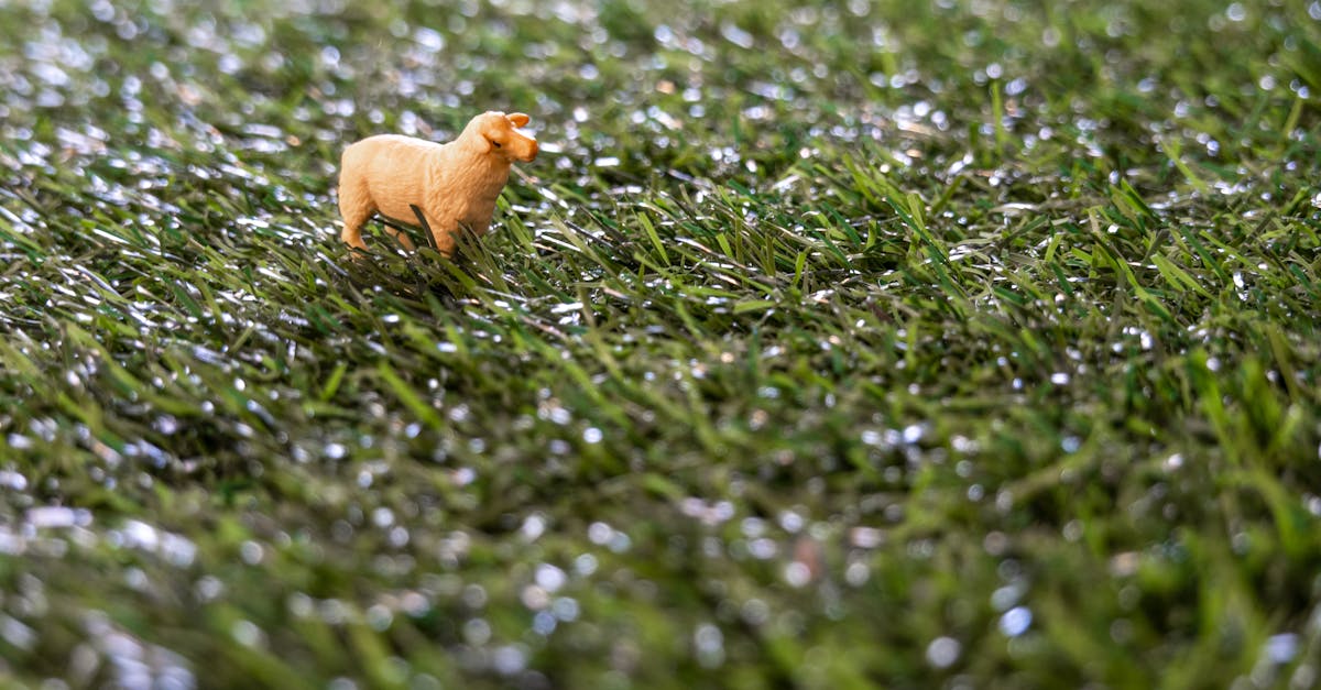 Close-up of a miniature sheep figurine in a field of artificial grass depicting a playful concept.