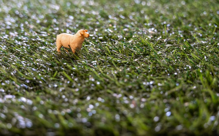 Sheep Figurine On A Grass Field