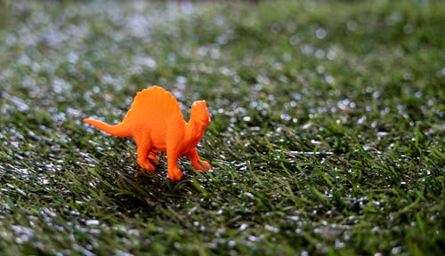 Close-up Photo of Tiny Orange Dinosaur Toy 