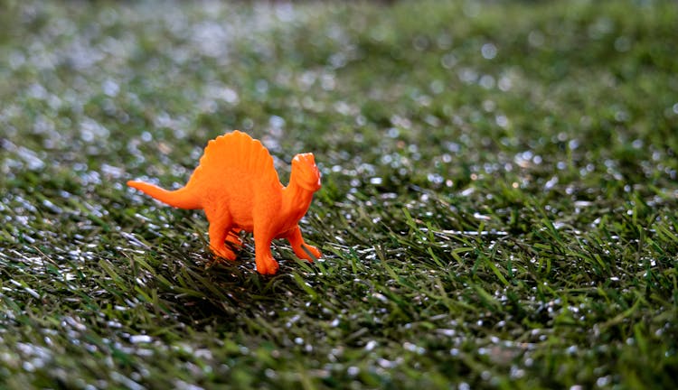 Close-up Photo Of Tiny Orange Dinosaur Toy 