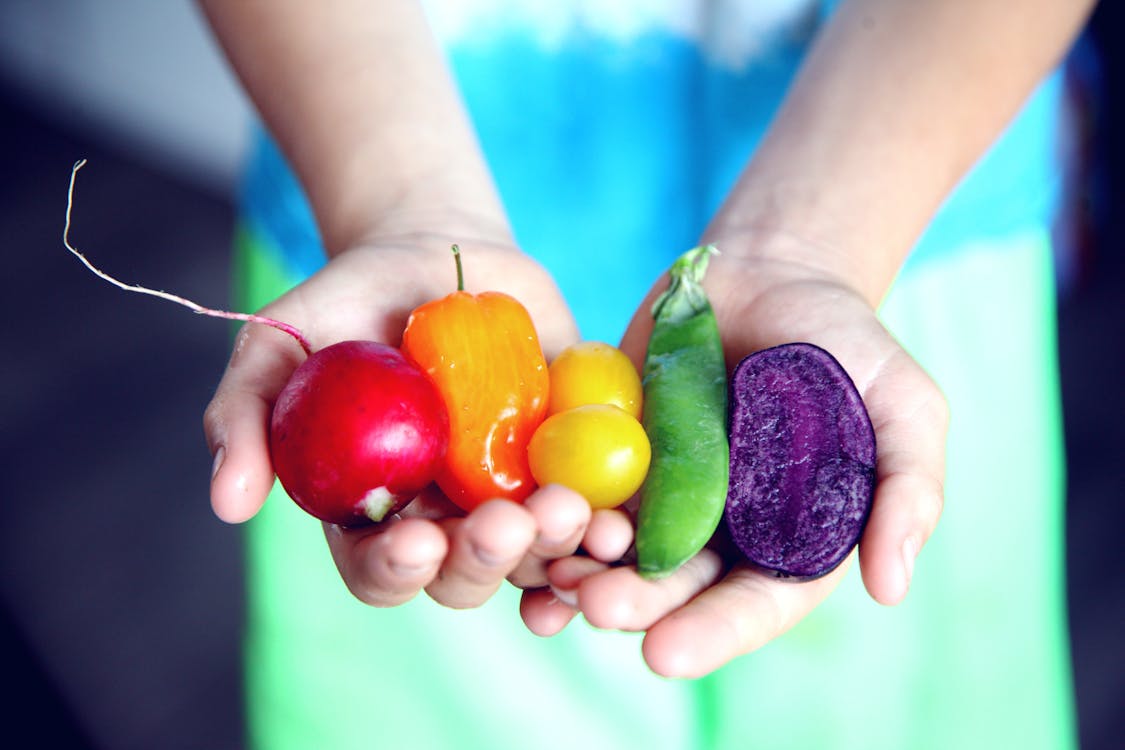 Curso Recetas con Verduras Online 