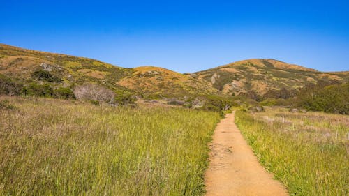 Gratis stockfoto met blauwe lucht, grasveld, groene berg