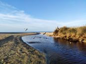 Green Grass on Brown Sand Near Body of Water