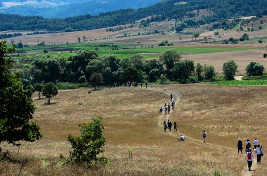 A group of hikers explores a scenic trail in a lush summer landscape.