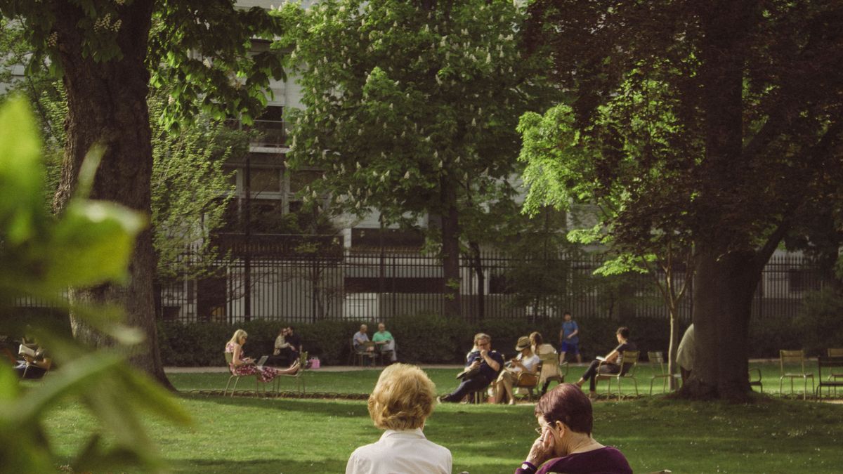 Les bienfaits de la thérapie par la nature en milieu urbain