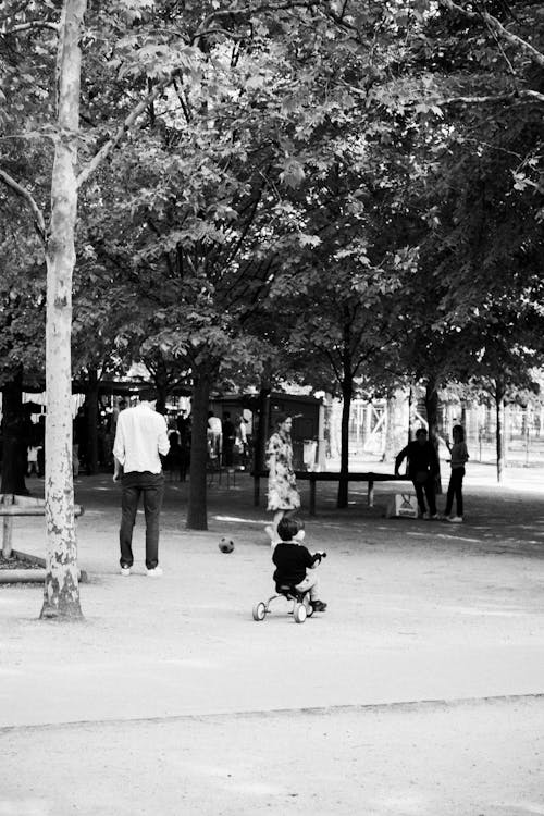 Monochrome Photo of People under a Tree 