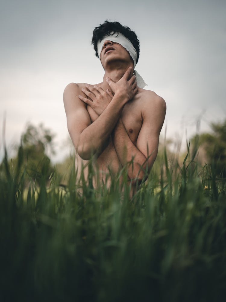 Shirtless Man In Blindfold In Grass