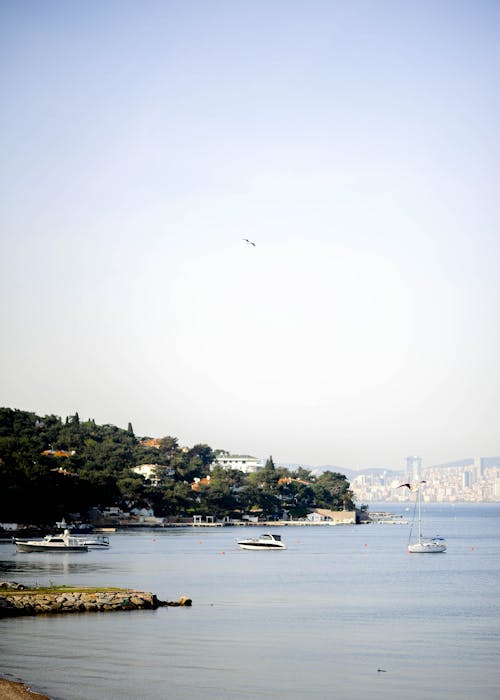 бесплатная Бесплатное стоковое фото с берег моря, вертикальный выстрел, вода Стоковое фото