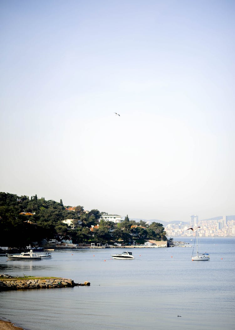 Motor Boats On The Harbor