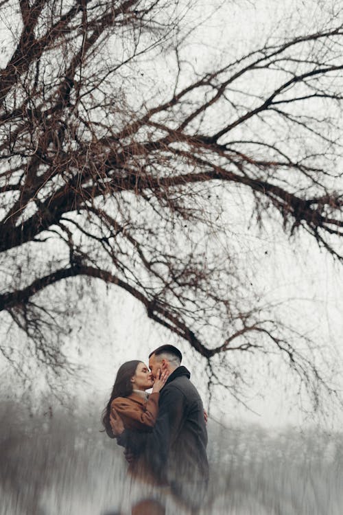 Foto profissional grátis de afetuoso, amantes, beijo