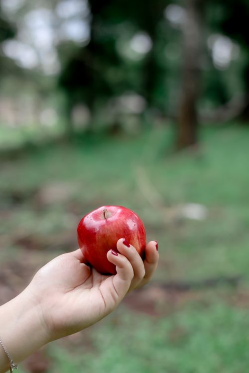 Free Close-up of a hand holding a fresh red apple against a blurred outdoor background. Stock Photo