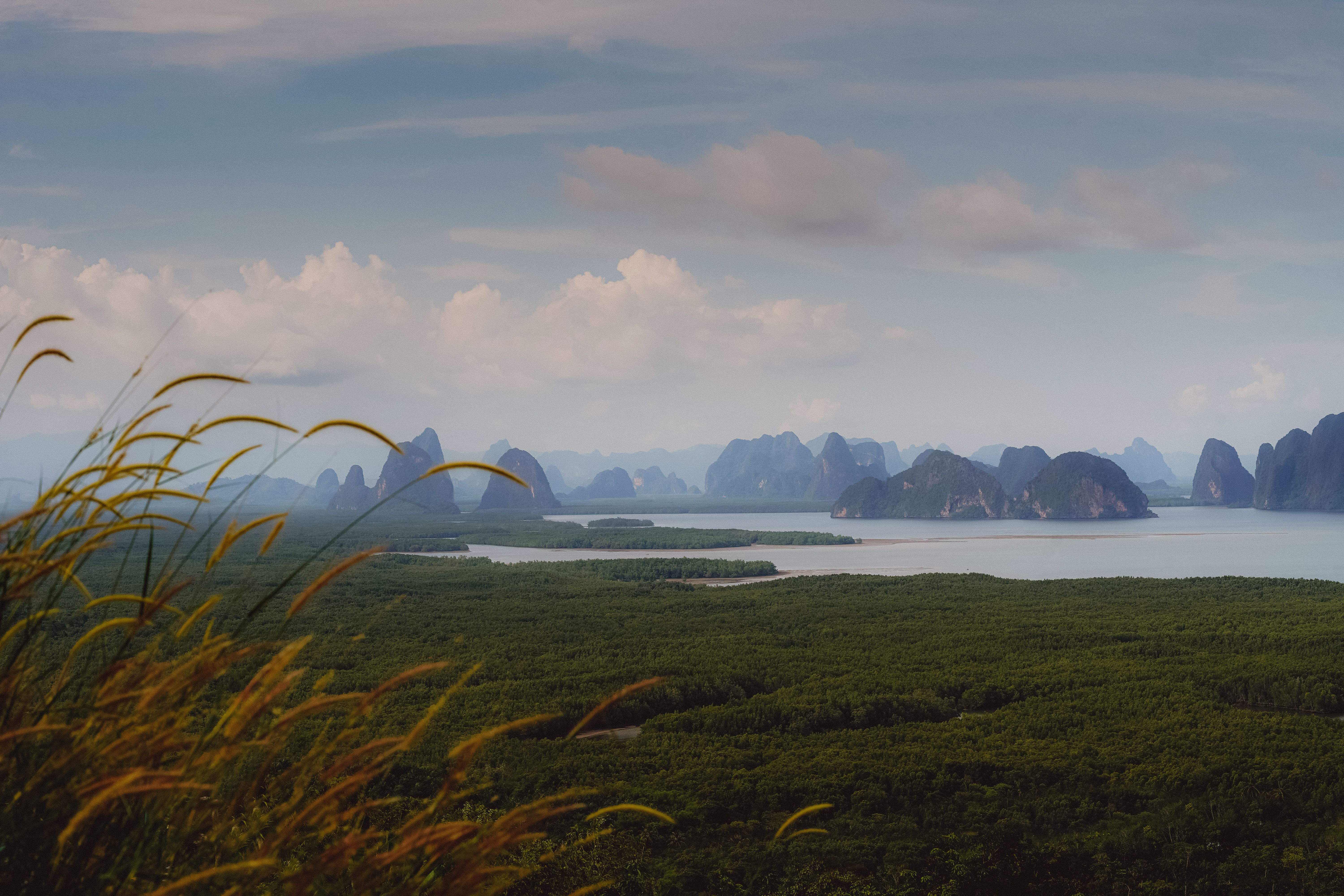 Breathtaking view of Phang-nga Bay with lush forests and striking limestone formations.