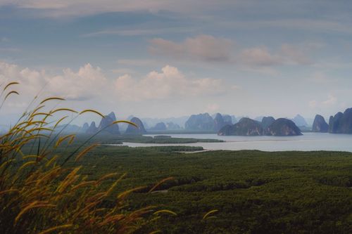 Free Breathtaking view of Phang-nga Bay with lush forests and striking limestone formations. Stock Photo
