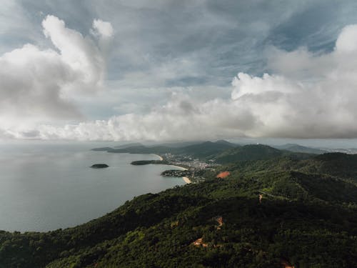 沿海城市附近森林上空的雲