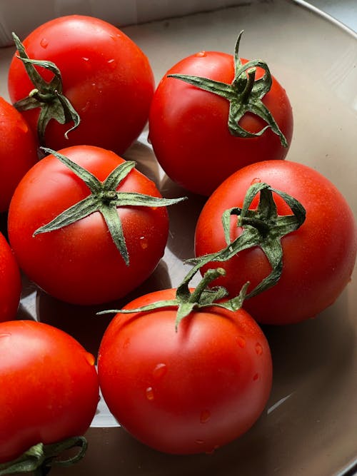 Fresh Tomatoes in Close-up Shot