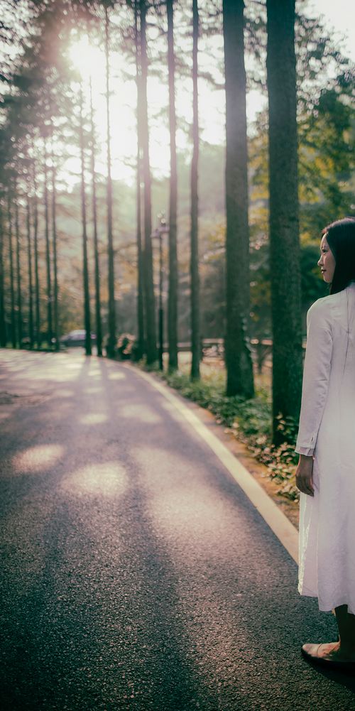 Free A woman in a white dress walking along a sunlit tree-lined road in the countryside. Stock Photo