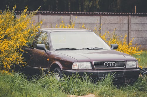 Photo of Audi Parked on Grass
