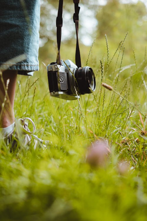 Person Holding SLR Camera