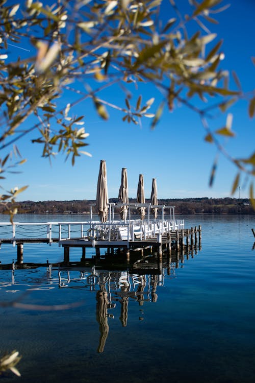 무료 수직 쐈어, 잔잔한 물, 푸른 호수의 무료 스톡 사진