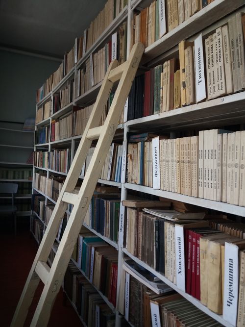 Free A library with tall bookshelves and a wooden ladder for accessing high books. Stock Photo