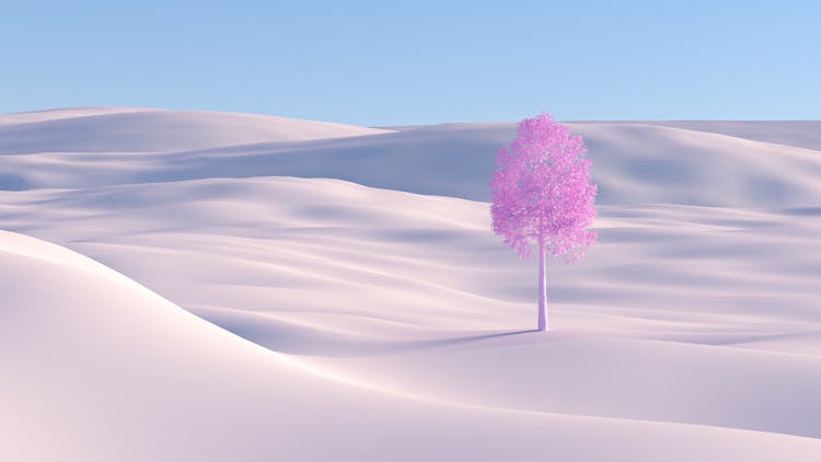 Purple Tree On Desert