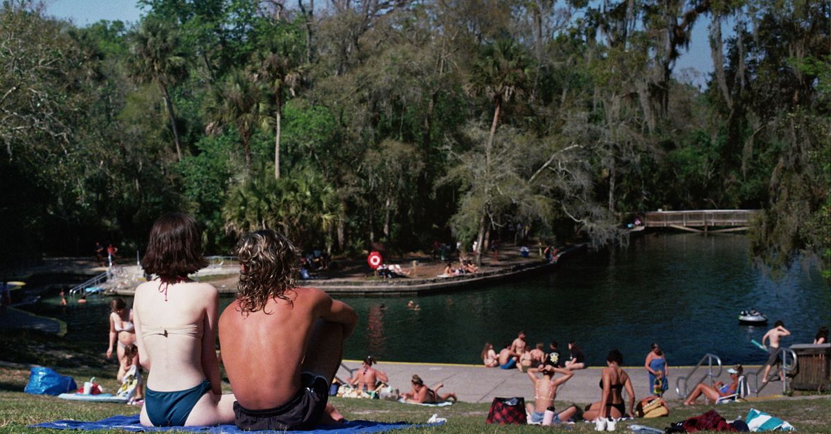 Couples and families enjoying a sunny summer day at Wekiwa Springs in Florida.