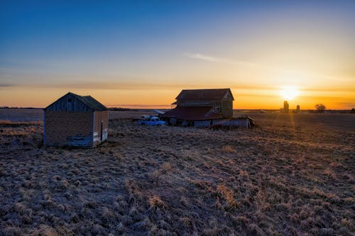 フィールド, 地平線, 夕方の無料の写真素材