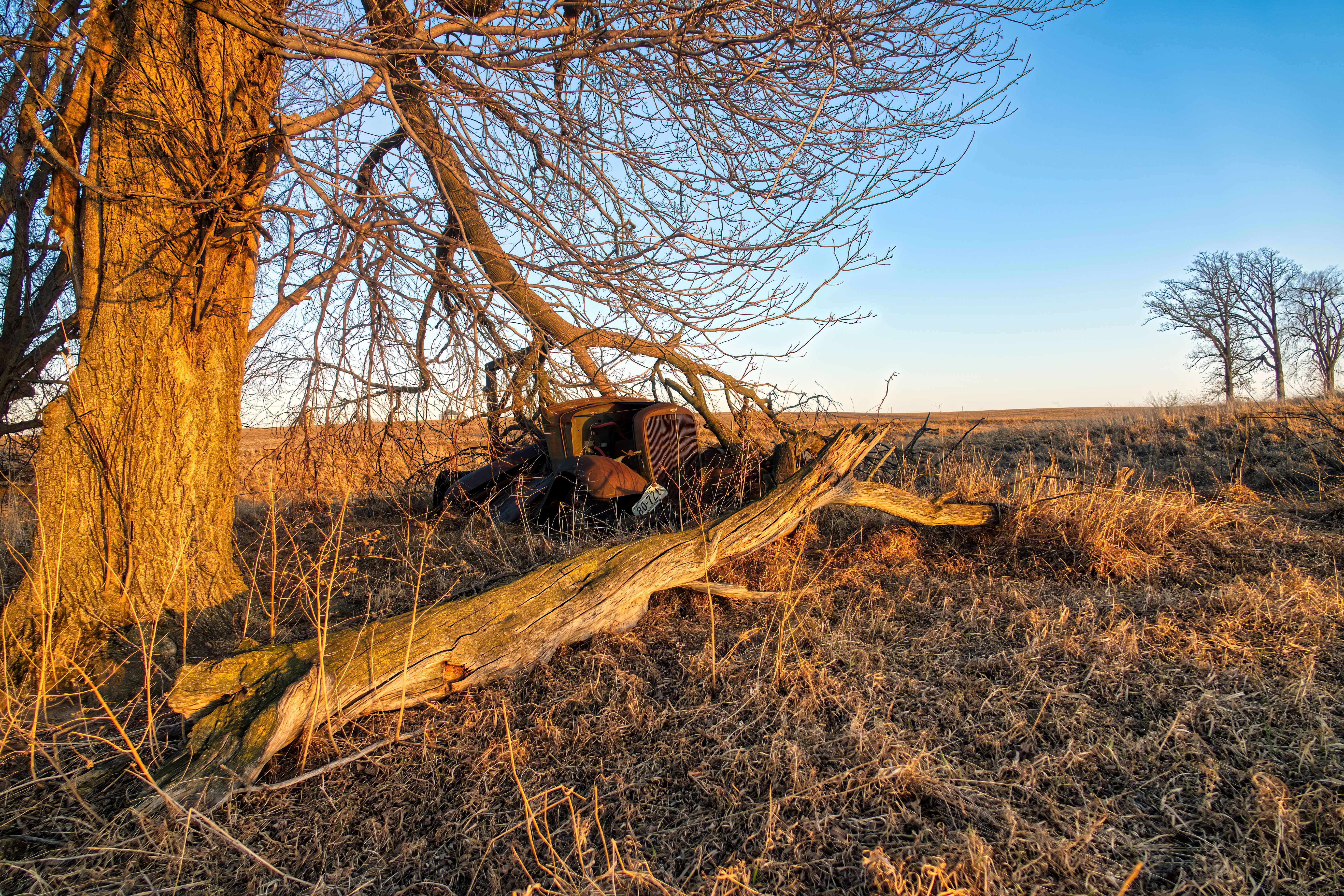 An old, rusted car sits in a bare winter field under leafless trees, capturing decay and nostalgia.