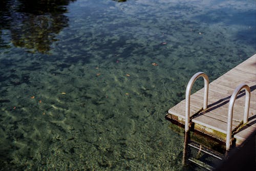 Brown Wooden Dock on Water